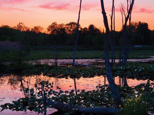 2012 Beaver Marsh sunset colorful c Brian Hunsaker.jpg