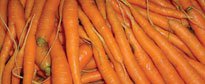 Carrots---Crown-Point-2.jpg