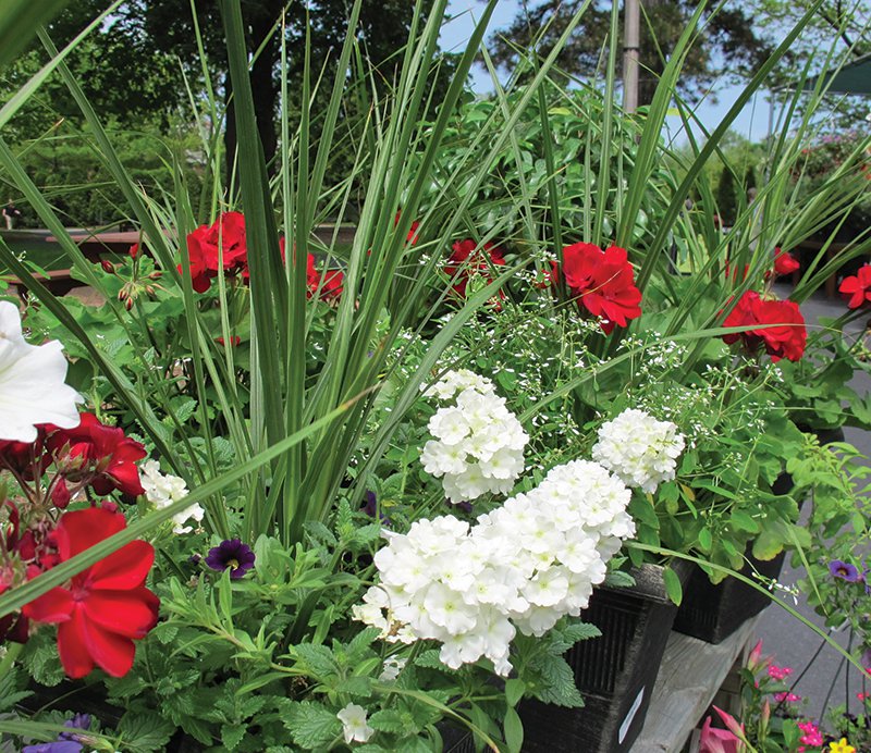 5-19 Gardening Gurus Floral Container Design.jpg