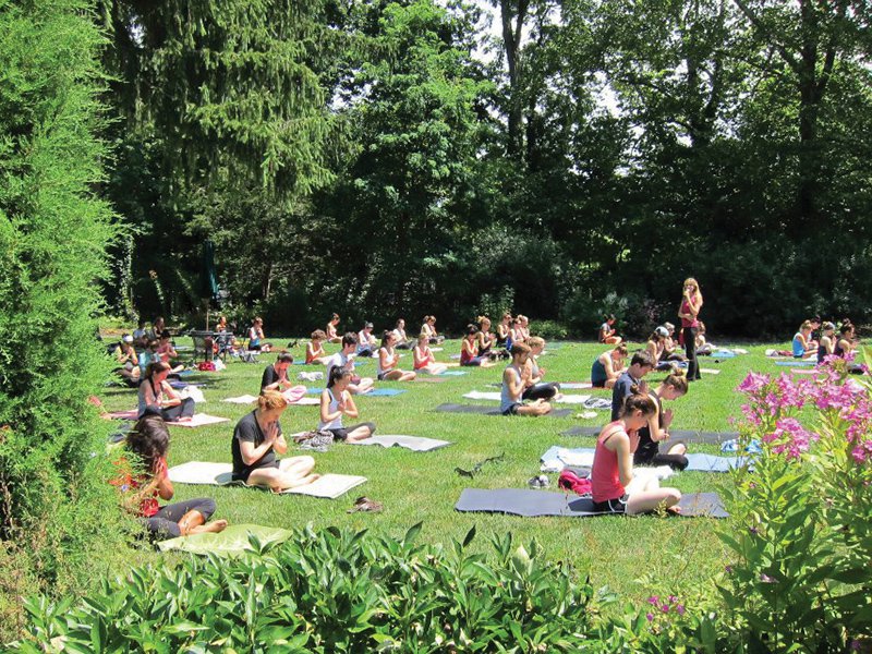 10-1 Sunday Serenity with Yoga on the West Terrace.jpg